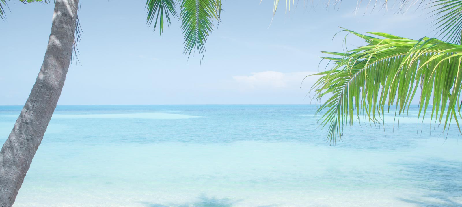 Transparent tropical water